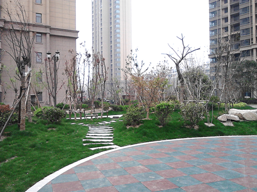 BB���ӡ�(china)�ٷ���վ