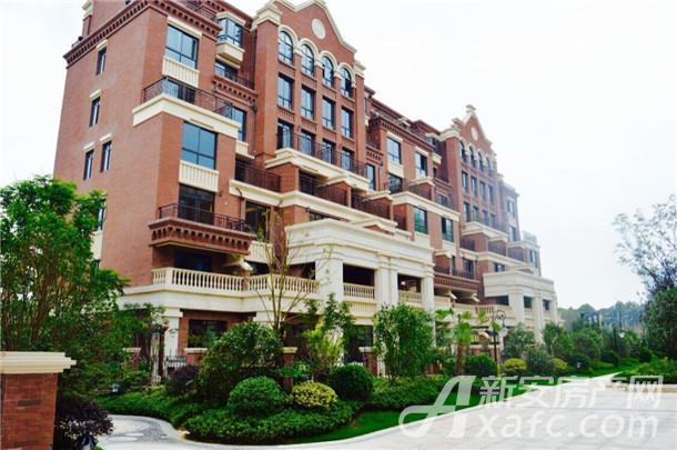 BB���ӡ�(china)�ٷ���վ