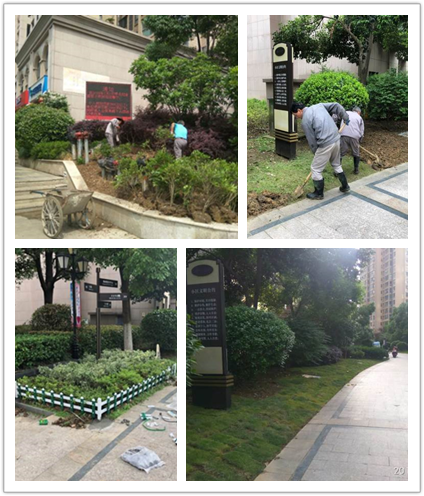 BB���ӡ�(china)�ٷ���վ