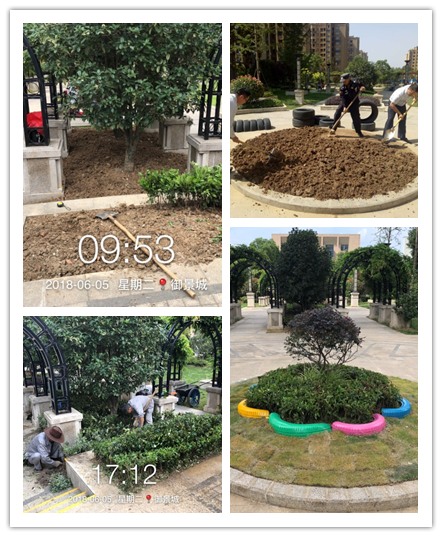 BB���ӡ�(china)�ٷ���վ