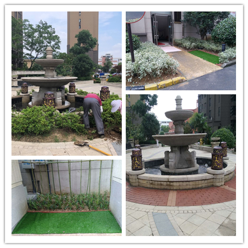 BB���ӡ�(china)�ٷ���վ