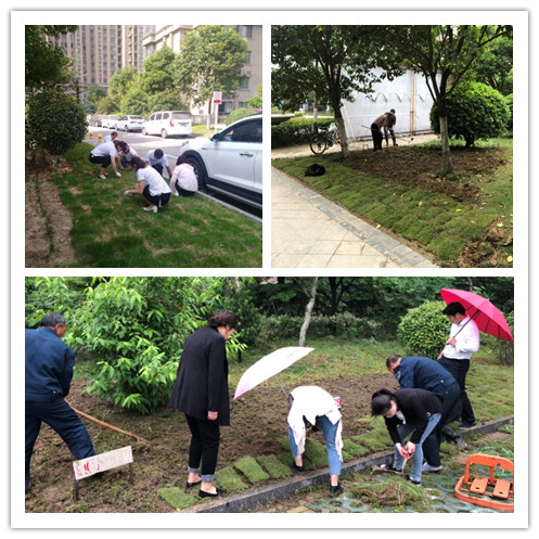 BB���ӡ�(china)�ٷ���վ