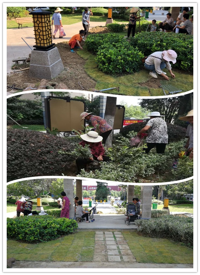 BB���ӡ�(china)�ٷ���վ