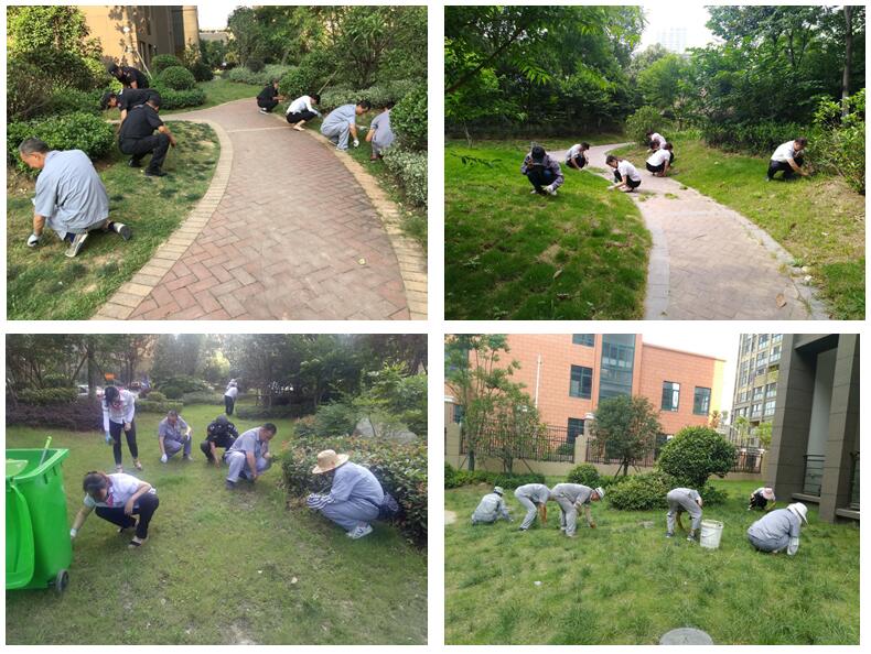 BB���ӡ�(china)�ٷ���վ