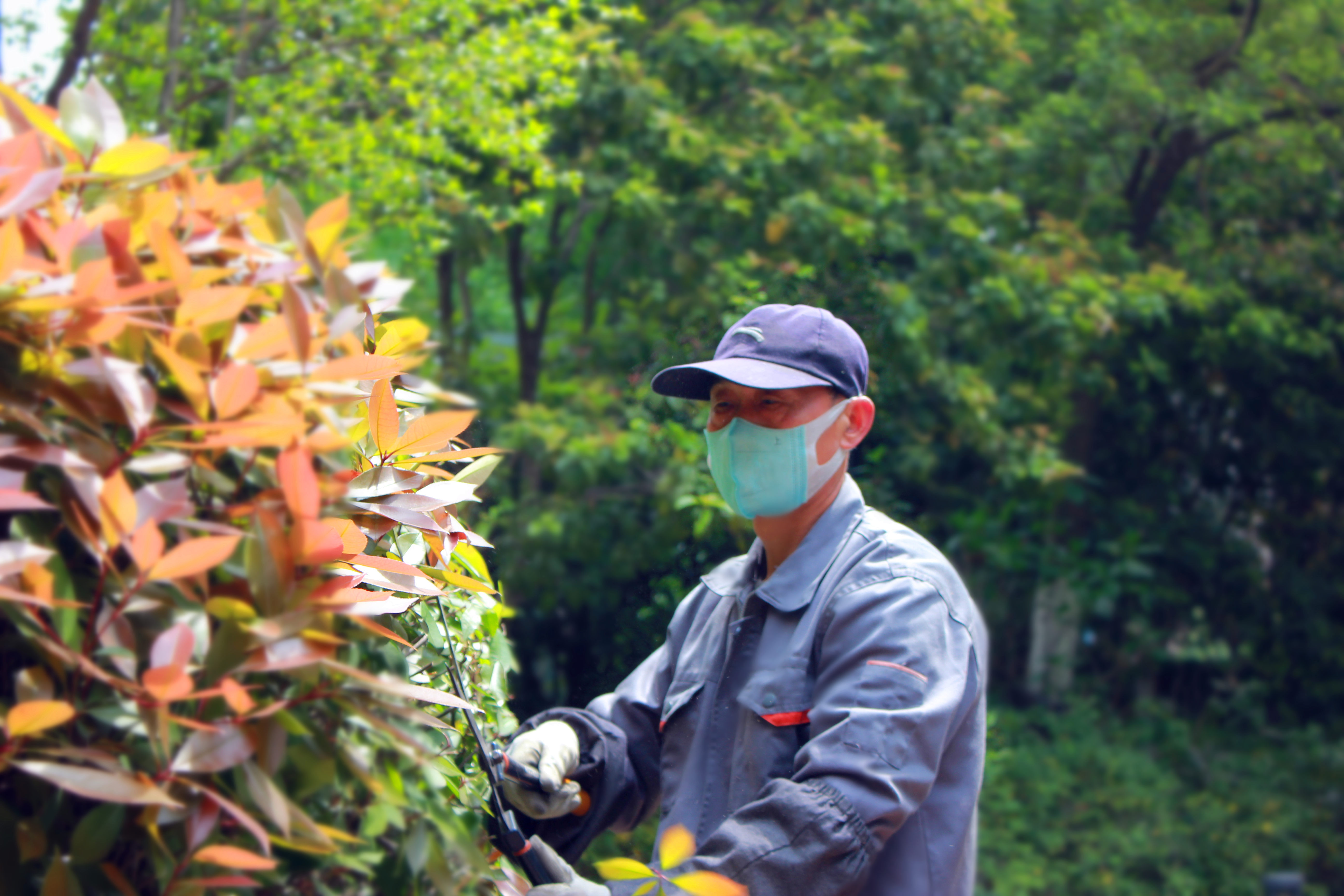 BB���ӡ�(china)�ٷ���վ