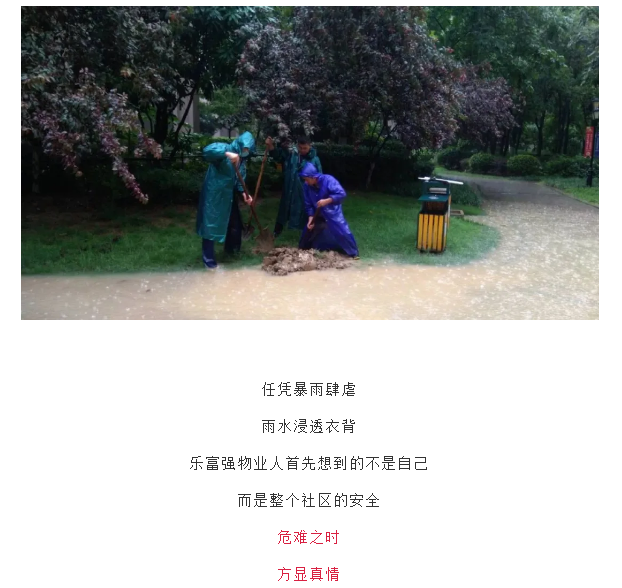 BB���ӡ�(china)�ٷ���վ