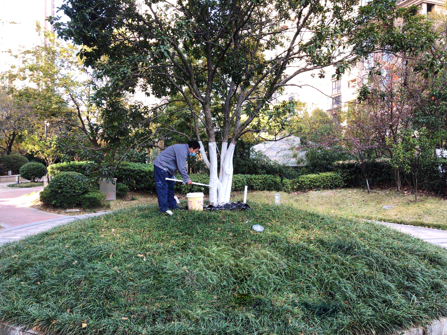 BB���ӡ�(china)�ٷ���վ