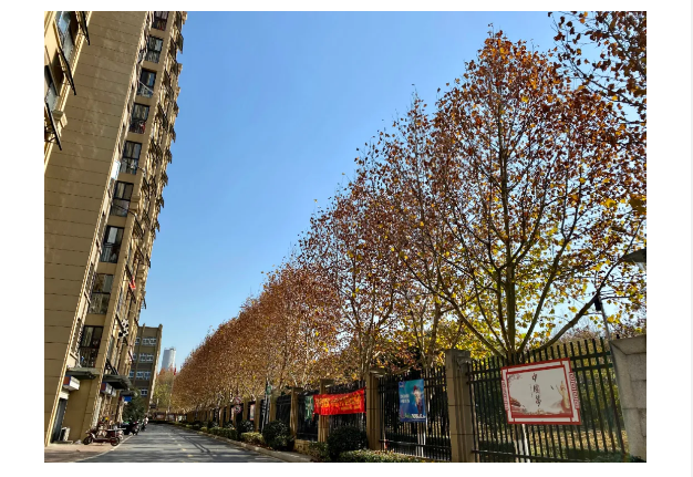 BB���ӡ�(china)�ٷ���վ