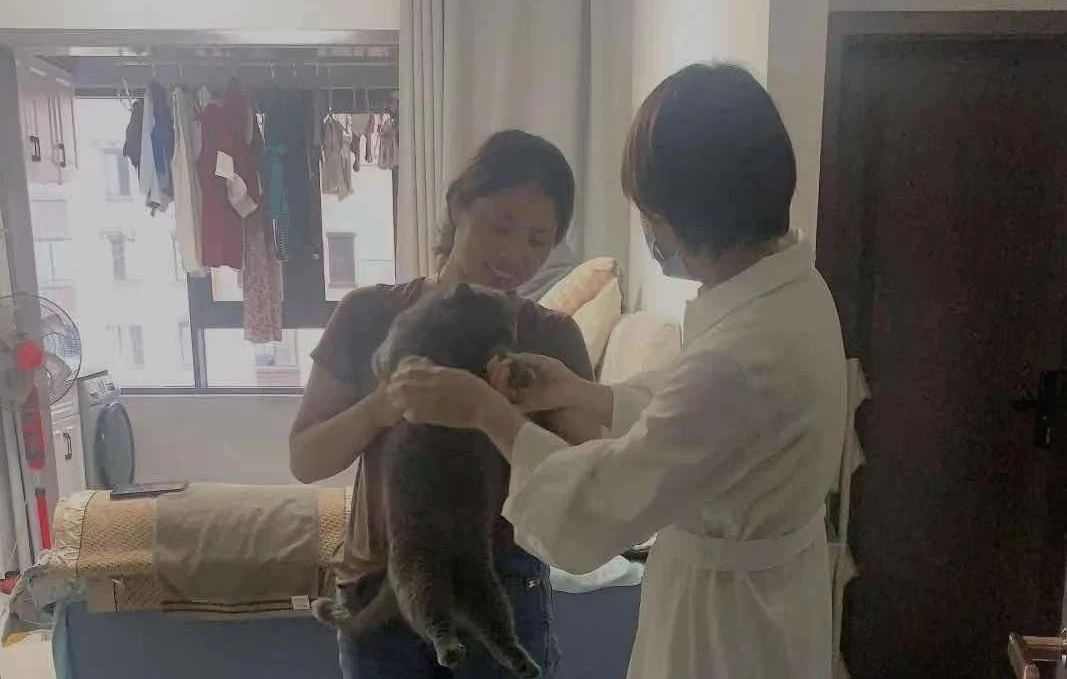 BB���ӡ�(china)�ٷ���վ