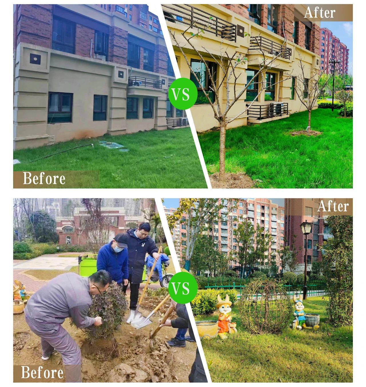 BB���ӡ�(china)�ٷ���վ