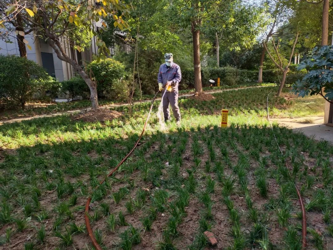 BB���ӡ�(china)�ٷ���վ