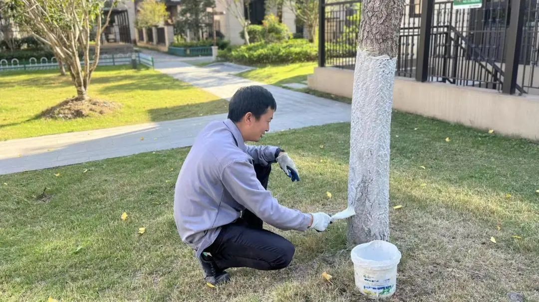 BB���ӡ�(china)�ٷ���վ