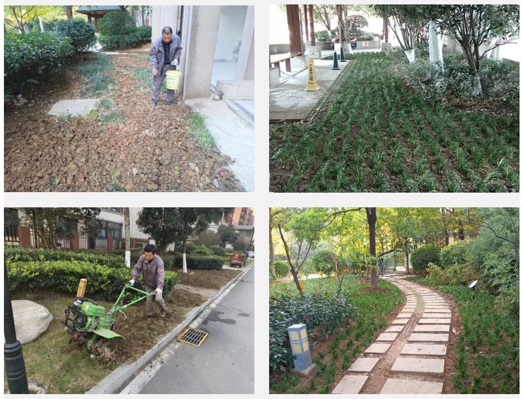 BB���ӡ�(china)�ٷ���վ