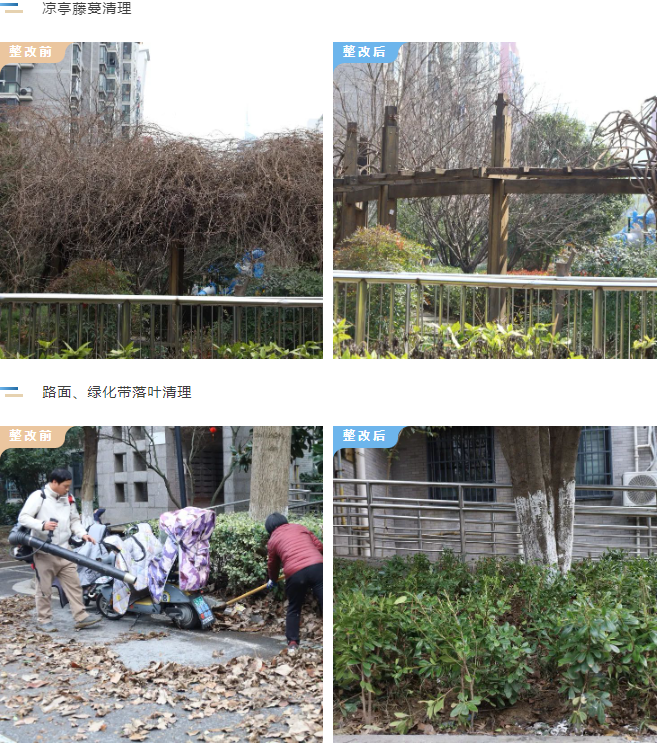 BB���ӡ�(china)�ٷ���վ