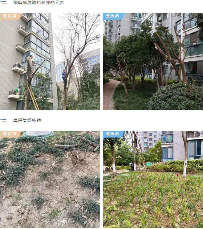 BB���ӡ�(china)�ٷ���վ